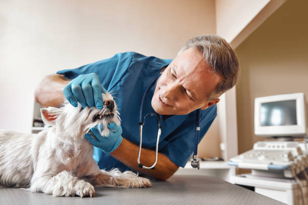 Best Emergency Gum Treatment in Hawthorne, NY